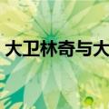 大卫林奇与大卫芬奇（大卫林奇和大卫芬奇）