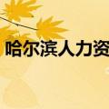 哈尔滨人力资源管理局官网（哈尔滨人事局）