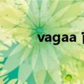 vagaa 官方网站（vagaa海外版）
