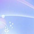 mft锅炉（MFT）