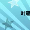 叶冠英人物介绍（叶冠英）