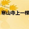 寒山寺上一棵竹子叫什么（寒山寺上一棵竹）