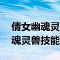 倩女幽魂灵兽技能书 化骨致命几率（倩女幽魂灵兽技能书）