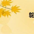 鸵字组词（鸟字组词）