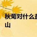 秋菊对什么益友对什么什么对西湖什么对西湖山