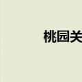 桃园关羽加点（桃园侠客加点）