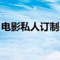 电影私人订制是哪一年（私人订制 上映时间）