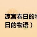 凉宫春日的物语讲述了一个什么故事（凉宫春日的物语）