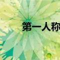 第一人称电脑游戏（第一人称网游）