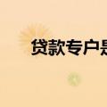 贷款专户是什么账户性质（账户性质）