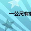一公尺有多少厘米（一公尺是多少米）