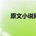 原文小说网怎么没有啦（原文小说网）