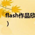 flash作品欣赏小蝌蚪找妈妈（flash作品欣赏）