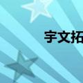 宇文拓的老婆（宇文拓喜欢谁）