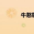 牛憨憨公司（憨憨牛多少钱）