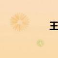 王栎鑫歌手（王乐鑫）