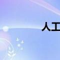 人工造雾系统（人工造雾）