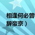 相逢何必曾相识!我从去年辞帝京（我从去年辞帝京）