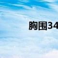胸围34c多大（34c胸围是多少）