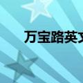 万宝路英文字母的含义（万宝路英文）