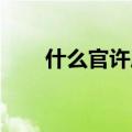 什么官许愿 四字成语（什么官许愿）