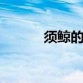 须鲸的资料大全（须鲸的资料）