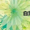 白贤什么意思（白贤吧）