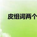 皮组词两个字二年级上册语文（皮组词）