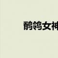 鹡鸰女神共几季（鹡鸰女神第3季）