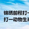 锦绣前程打一动物生肖打一个数字（锦绣前程打一动物生肖）