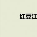 红豆江凯文歌词（红豆江凯文）