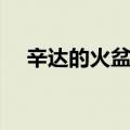 辛达的火盆使用券（辛达的火盆使用券）