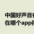 中国好声音在哪个app上可以看（中国好声音在哪个app播放）