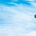 u88337（u8833）