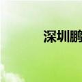 深圳鹏劳派遣好吗（深圳鹏劳）