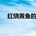 红烧黄鱼的做法步骤（红烧黄鱼的做法）