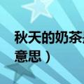 秋天的奶茶是什么意思?（秋天的奶茶是什么意思）