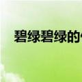 碧绿碧绿的什么雪白雪白的什么写一句话
