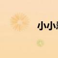 小小忍者手游（小小忍者3）