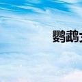 鹦鹉女神结局（鹦鹉女神3）