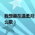 我想藏在温柔月光里歌名是什么（我想藏在温柔月光里是什么歌）