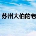 苏州大伯的老婆叫什么（大伯的老婆叫什么）