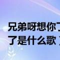 兄弟呀想你了是什么歌曲的歌词（兄弟呀想你了是什么歌）