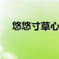 悠悠寸草心阅读答案（悠悠寸草心阅读）