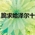 跪求哈泽尔十分钟迅雷下载（哈泽尔10分钟）