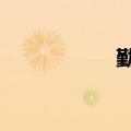 勤哲erp（勤哲价格）