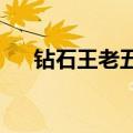 钻石王老五的艰难爱情第二部剧情介绍