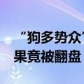 “狗多势众”却无用!4只黑狗围攻1只大鹅结果竟被翻盘