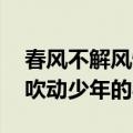春风不解风情吹过少年的心（春风不解风情 吹动少年的心）