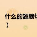 什么的翅膀填空词语三年级下册（什么的翅膀）